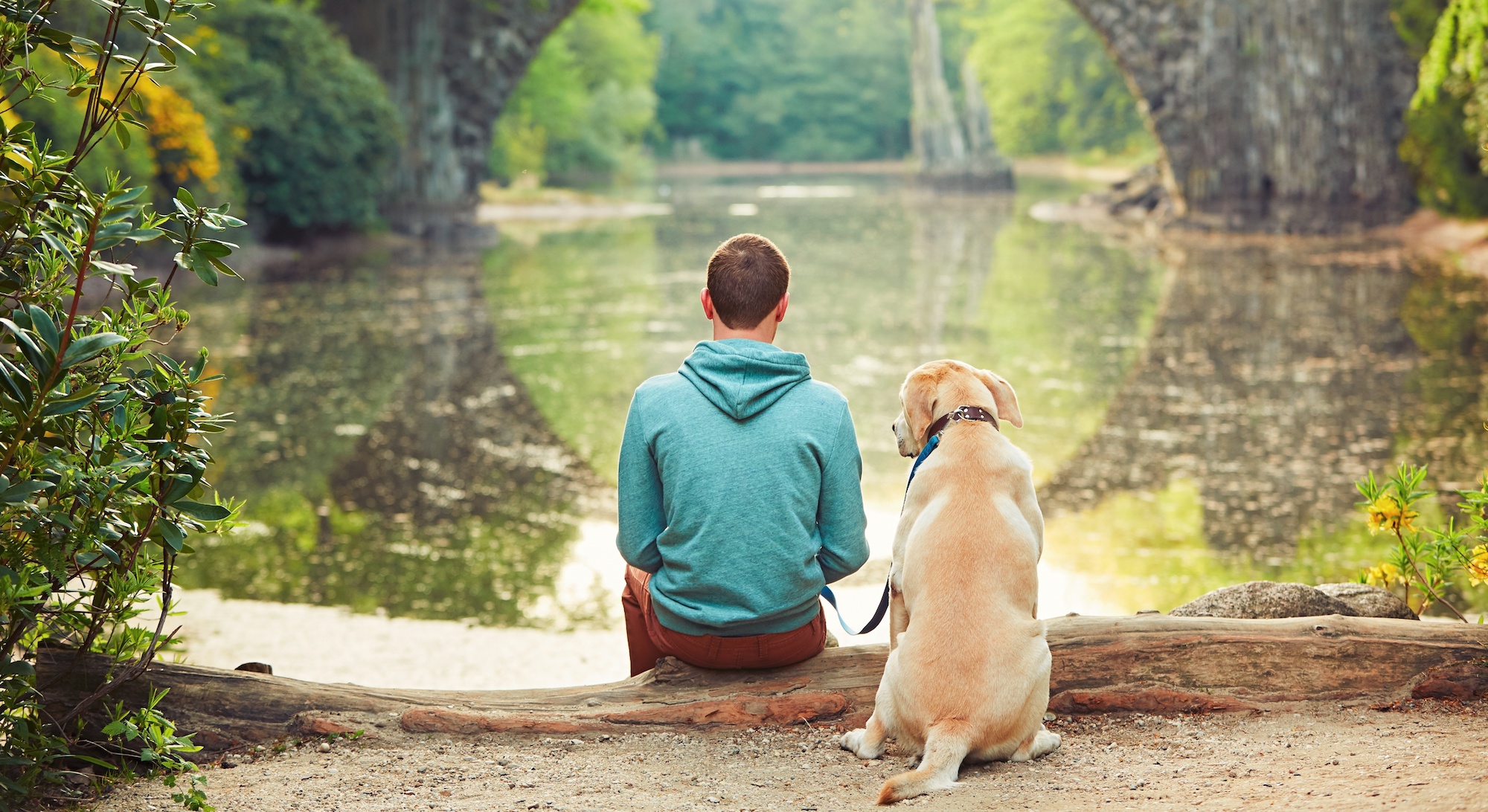 The 7 Essential Dog-Human Relationships [Which One Are You?]