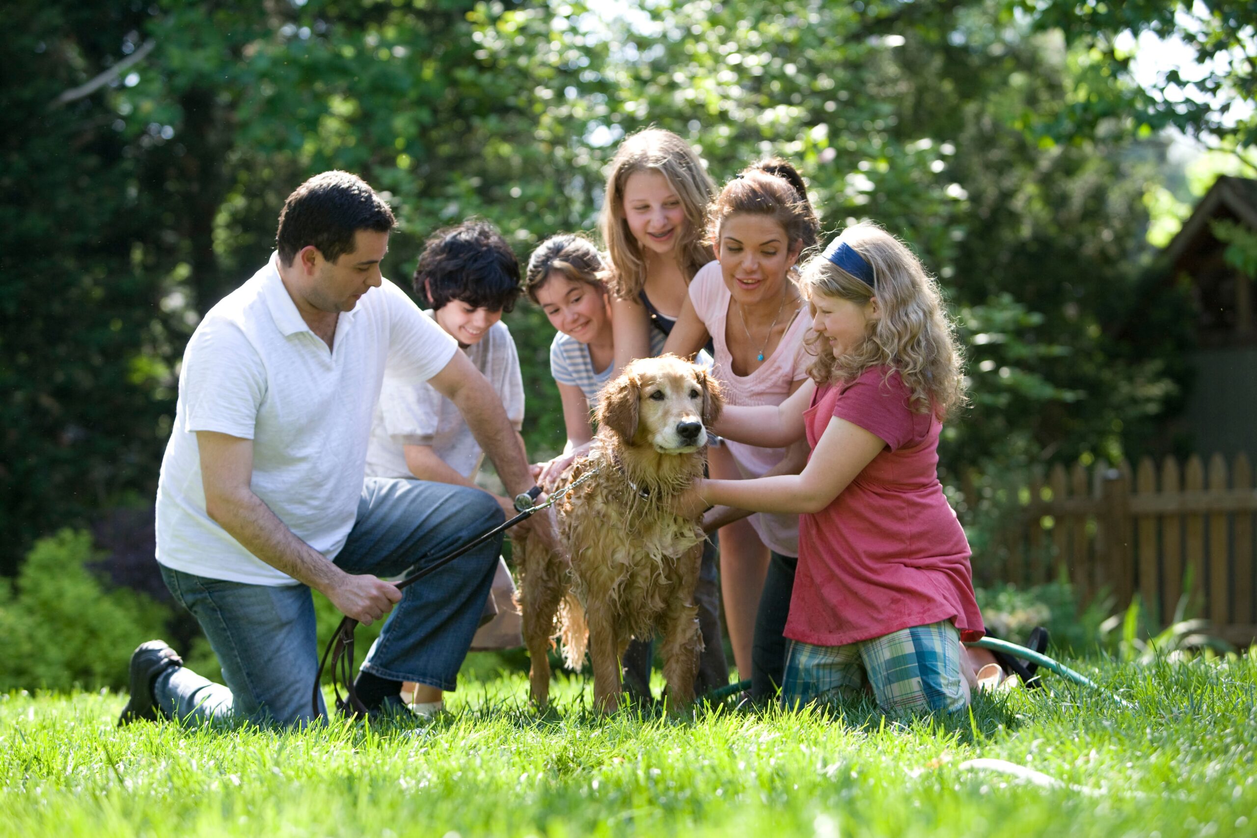 5 Dog Breeds That Make Great Family Pets - Sniffing For The Cure